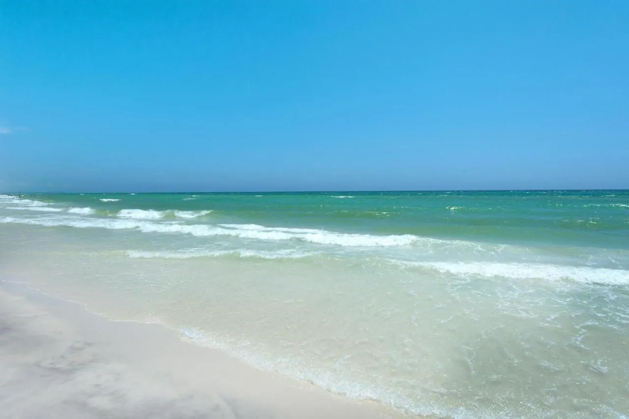Calypso 3-202 - The Sea Suite Panama City Beach United States
